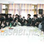האדמורים מזוויעהל ומאקאווע במירון